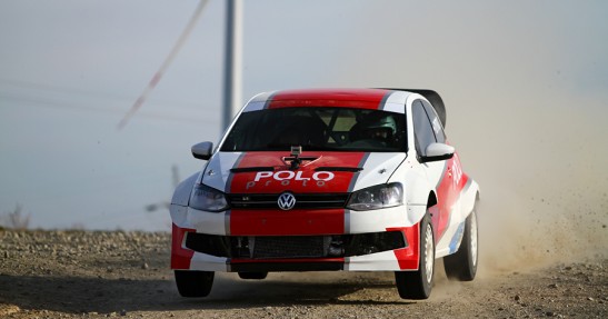 Testy Polo Proto